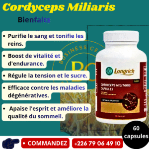 CORDYCEPS MILITARIS LONGRICH (CAPSULES)